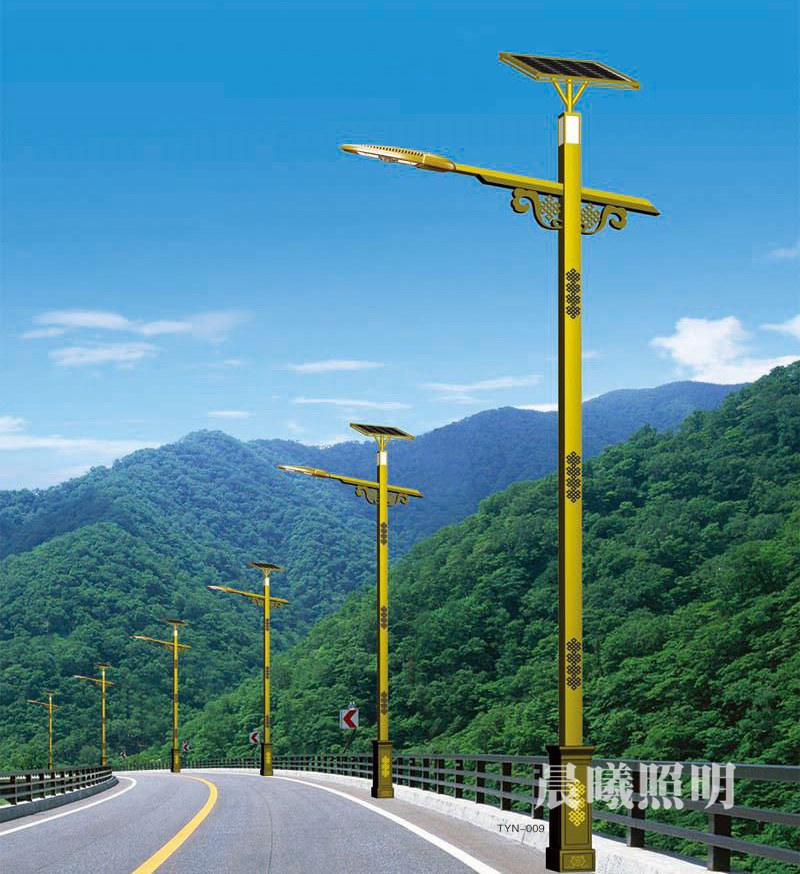 鄉(xiāng)鎮(zhèn)道路8米太陽能路燈